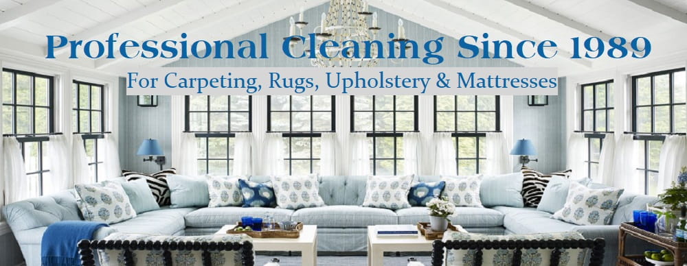 Professional Cleaning Services