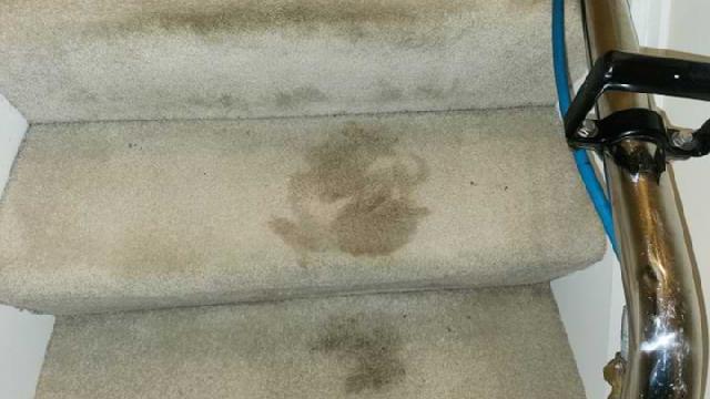 Carpet Cleaning Stairs Fairfield - Before