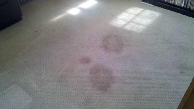 Hot Water Extraction Carpet Cleaning West Norwalk - Before