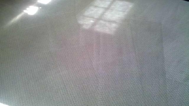 Steam Cleaning Carpet West Norwalk - After